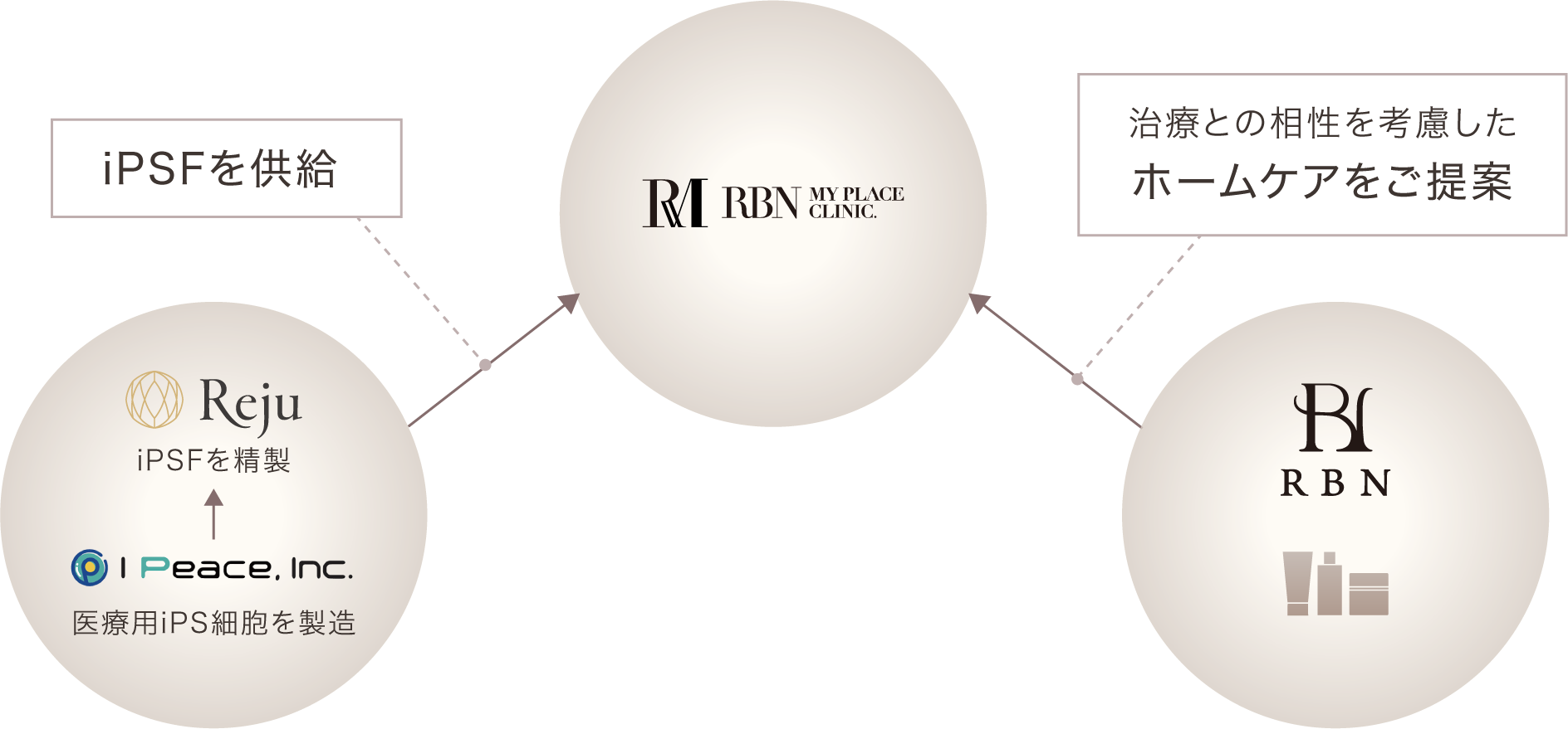 3体制の連携 I Peace・REJU・RBN