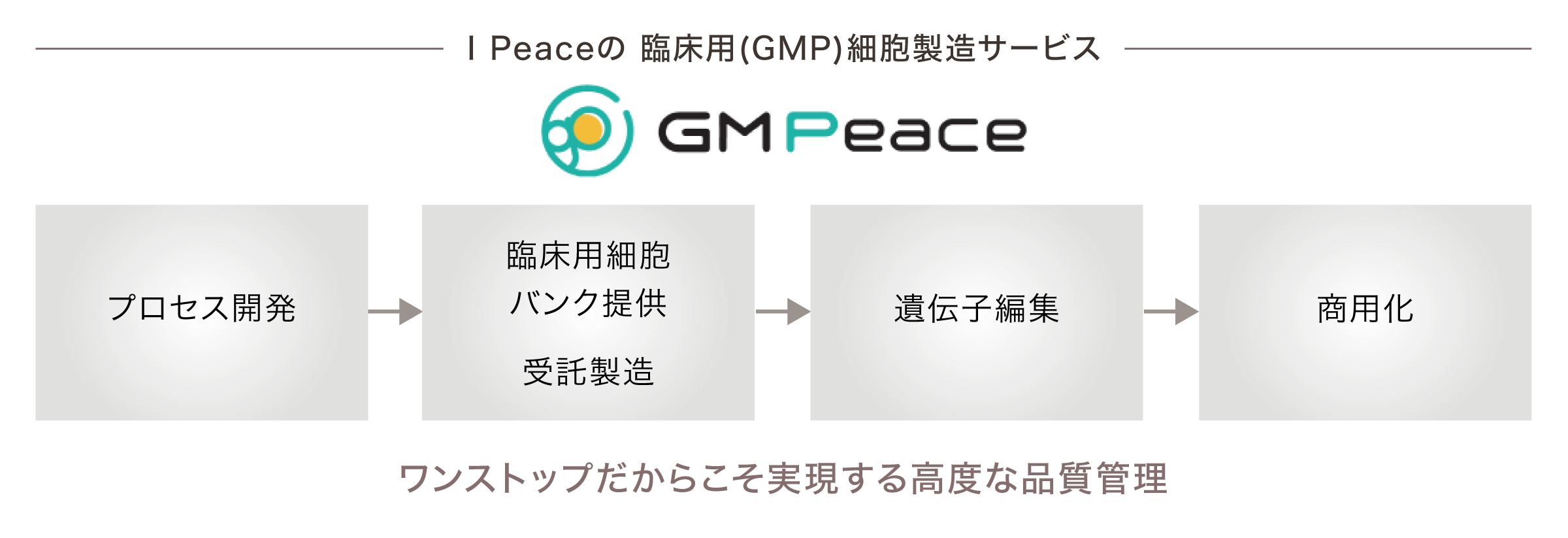I Peaceの 臨床用(GMP)細胞製造サービス ワンストップだからこそ実現する高度な品質管理