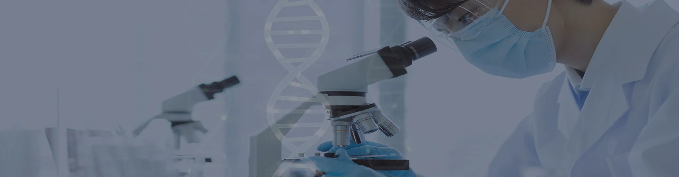 iPS細胞イメージ