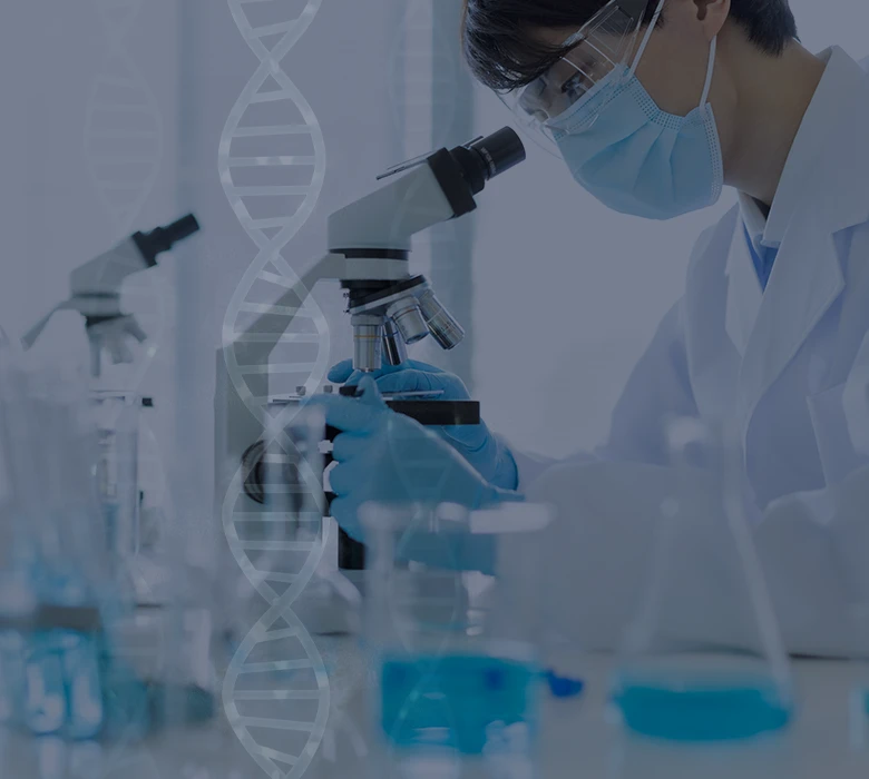 iPS細胞イメージ