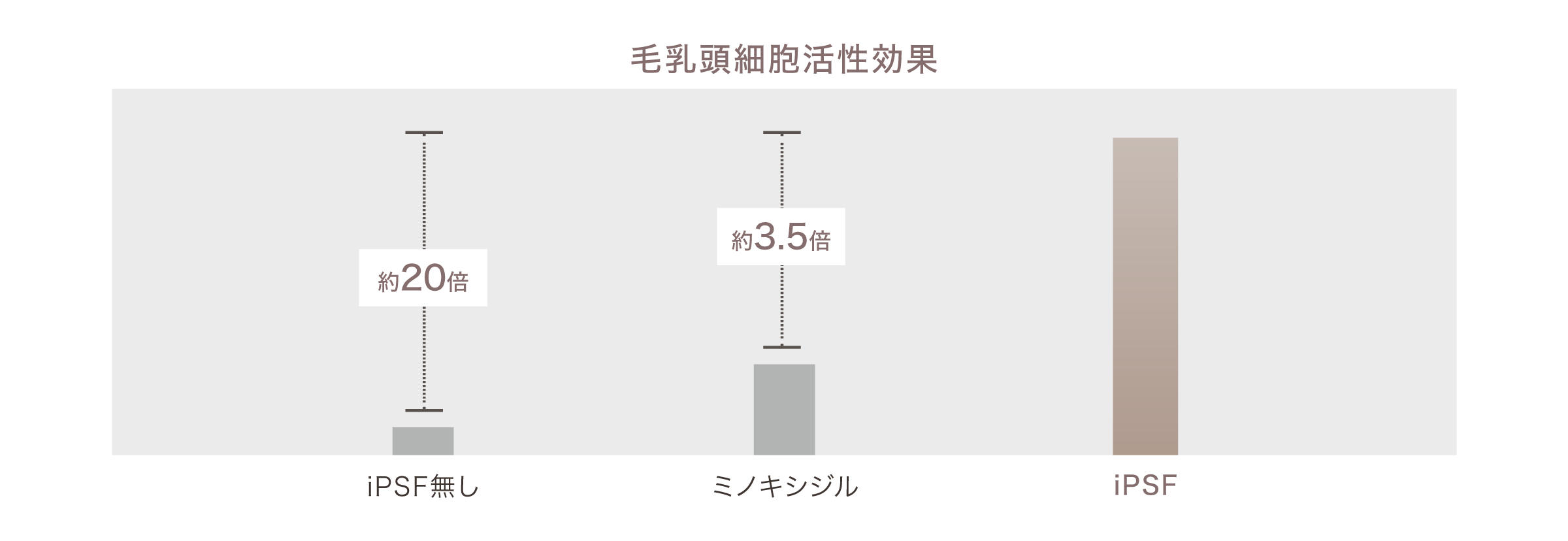 毛乳頭細胞活性効果