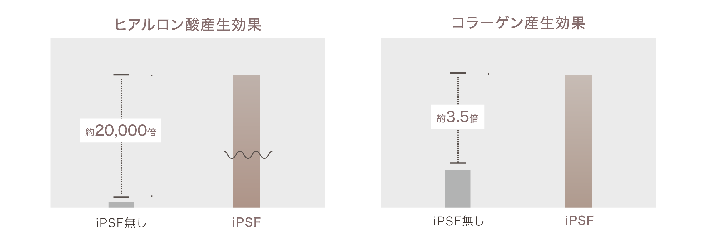 ヒアルロン酸産生効果・コラーゲン産生効果