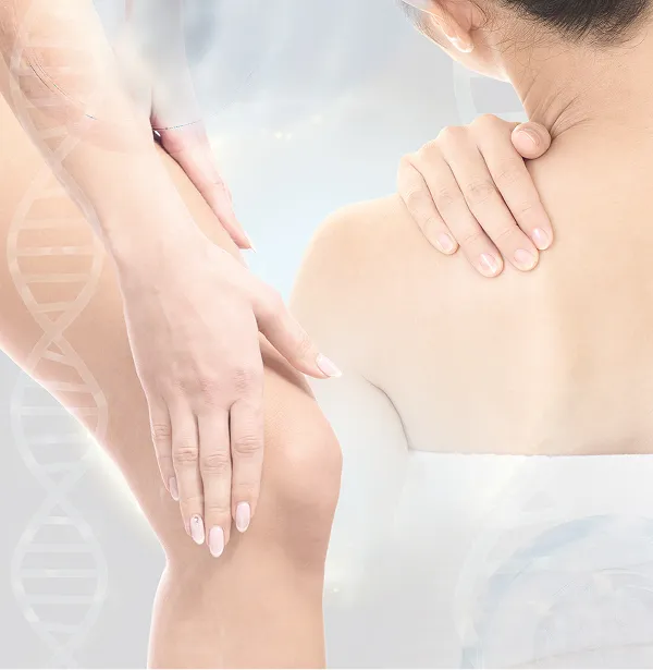 iPSF膝関節投与プログラム（関節内注入）