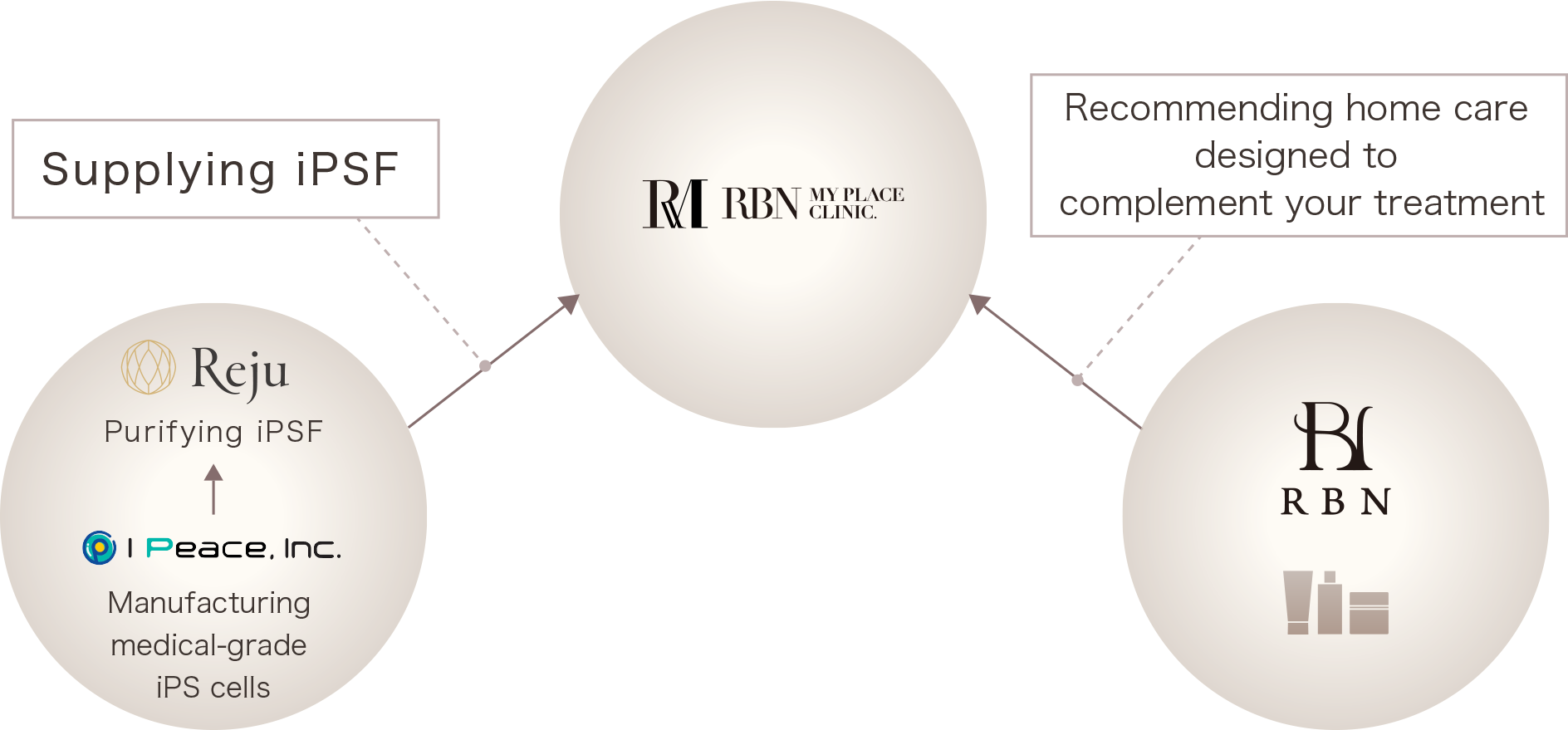A Three-Part System: Collaboration of I Peace, REJU, and RBN