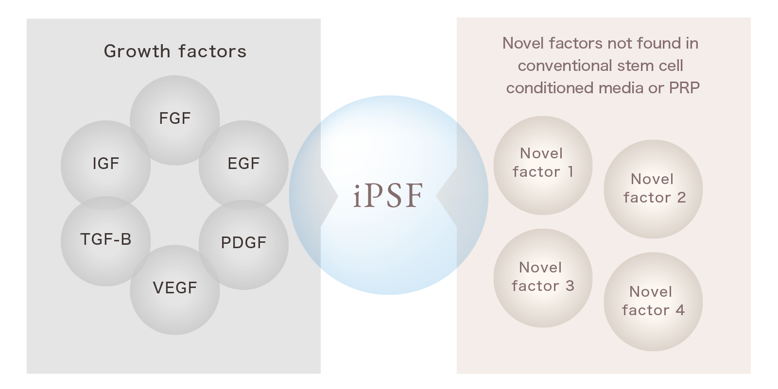 Novel factors