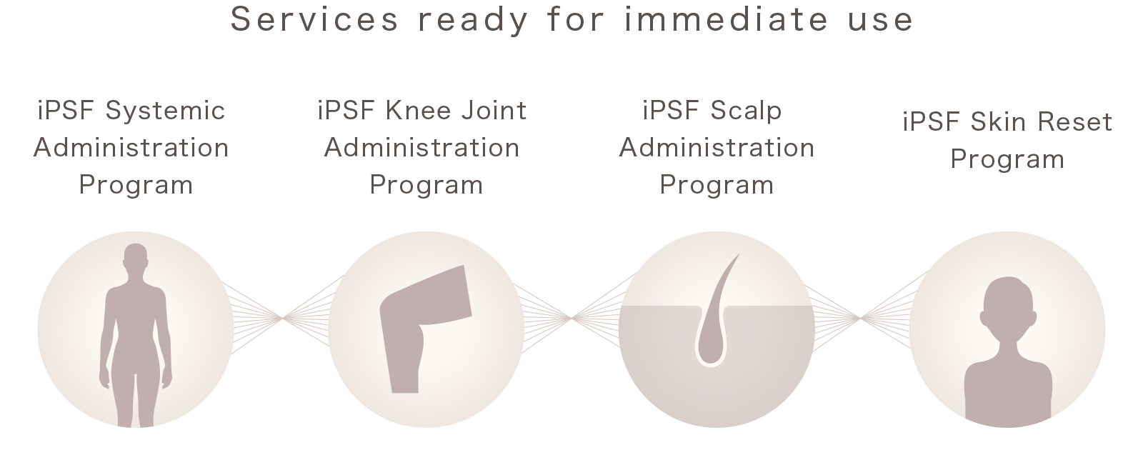 Services ready for immediate use