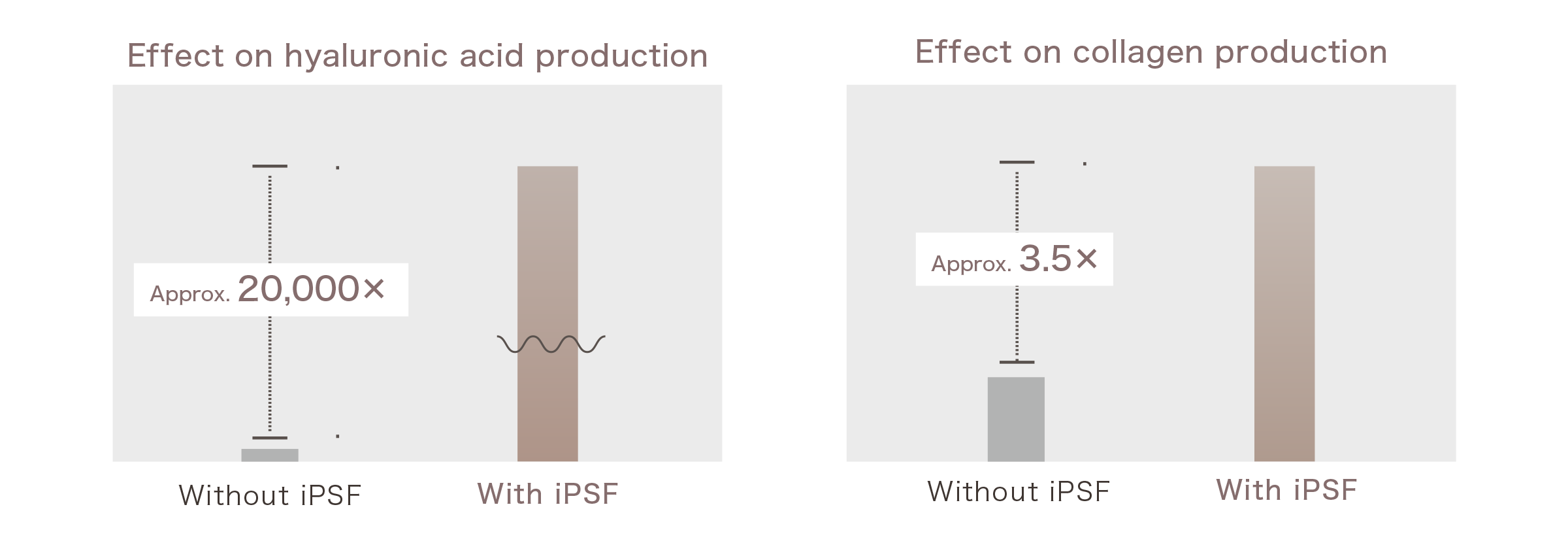 Hyaluronic Acid and Collagen Production Effects